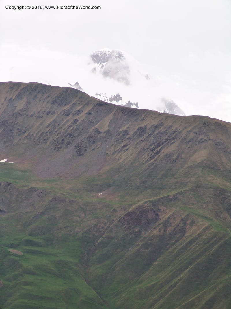 Georgia. Kazbegi Peak. Garbani. Georgia Milt. Hwy. 1 Jun 2005. 002 (2).jpg