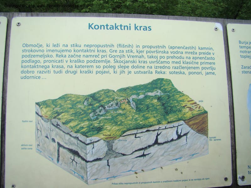 Slovenia. 2 km W of Skocjan on Rd 301. 16 May 08. 004.jpg