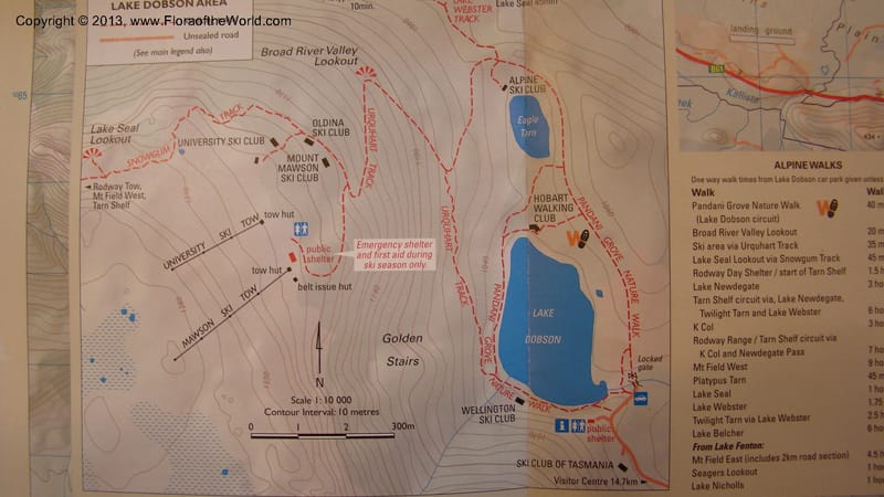Tasmania. Maps of Mt. Field Nat. Park. Jan 2010. 006.jpg