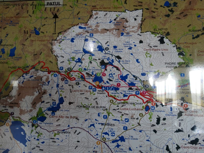 Ecuador. P. N. Cajas. 26 Apr 2015. DSC03197 (1).JPG
