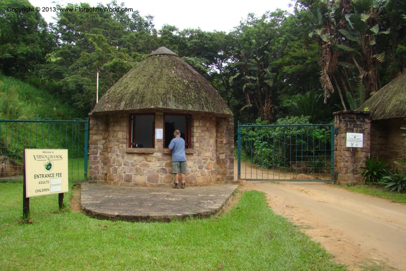 South Africa. KwaZulu-Natal. Vernon Crookes Nat. Res. 25 Jan 09. 003.jpg
