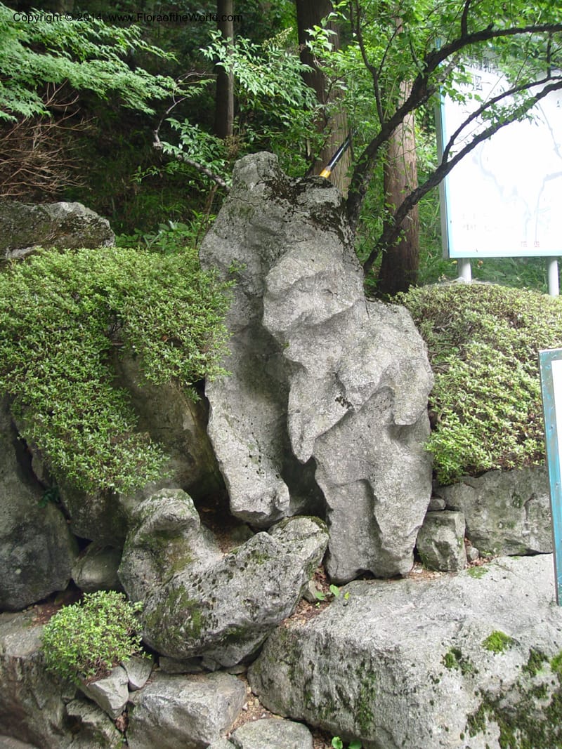 Japan. Seikigahara-cho. Cave and temple.  CD18 Jul 03. 023.jpg