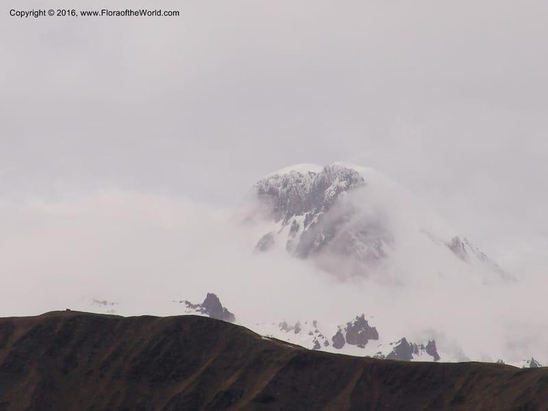 Georgia. Kazbegi Peak. Garbani. Georgia Milt. Hwy. 1 Jun 2005. 002 (3).jpg