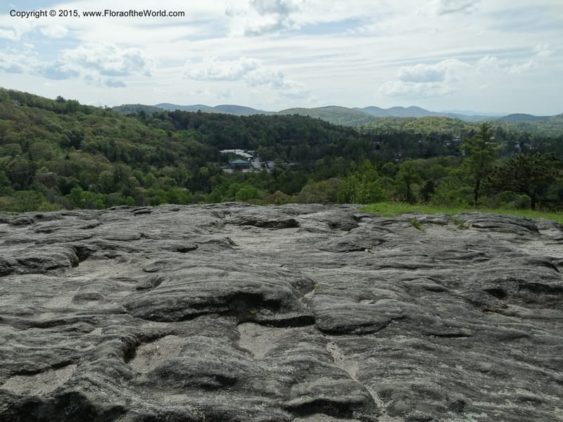 North Carolina. Macon Co. Sunset Rock. 12 May 2015. DSC04371 (146).JPG