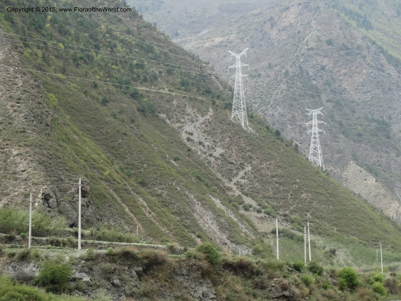China. Sichuan. Yonghe Village. 6 May 2014. DSC04110 (42).JPG