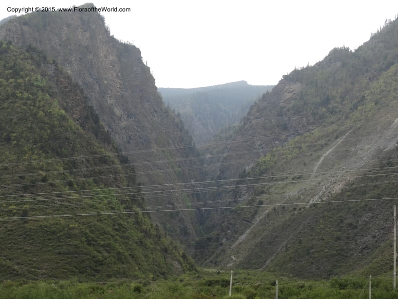 China. Sichuan. Yonghe Village. 6 May 2014. DSC04110 (43).JPG
